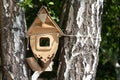 Wooden birdhous for birds