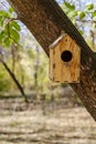 Wooden birdhouse attached to a tree trunk in a city park