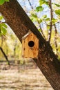 Wooden birdhouse attached to a tree trunk in a city park