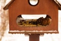 Wooden birdhouse brown manger feeding birds winter day using. Part of the house for birds entrance