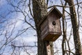 A wooden birdhouse, built with your own hands and painted with colored paint, hangs attached to a tree without leaves.