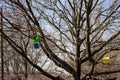 A wooden birdhouse, built with your own hands and painted with colored paint, hangs attached to a tree without leaves.