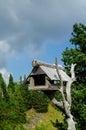 Wooden birdhouse constructed on old tree branch Royalty Free Stock Photo