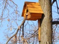 Wooden birdhouse feeder for birds on a tree