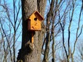 Wooden birdhouse feeder for birds on a tree