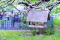 Wooden birdhouse feeder hanging on a branch of a blossoming apple tree Royalty Free Stock Photo