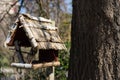 Wooden birdhouse in front of tree trunk in winter fall season