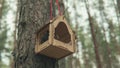 Wooden birdhouse hanging on tree in forest. Close-up of house for birds on branch of tree trunk.