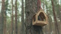 Wooden birdhouse hanging on tree in forest. Close-up of house for birds on branch of tree trunk.