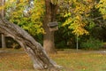 Wooden birdhouse hanging on a tree