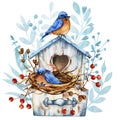 Wooden birdhouse with nest and family blue bird. Flowers for home comfort. Winter Christmas and Easter decor. Hand drawn