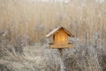 Wooden birdhouse outdoors in a natural park