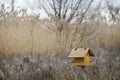 Wooden birdhouse outdoors in a natural park