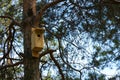 Wooden birdhouse in a pine forest.