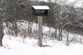 Wooden birdhouse on a pole covered with snow during a winter storm in a forest wilderness area Royalty Free Stock Photo