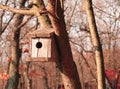 Wooden birdhouse on a tree in the forest