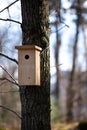 Wooden birdhouse on a tree with forest in the background. Simple handmade bird`s shelter in a park in spring. Nesting box Royalty Free Stock Photo