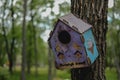 Wooden birdhouse on a tree. Simple hand crafted birdhouse design, nesting box among branch at spring Royalty Free Stock Photo