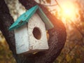 Wooden birdhouse on a trunk of an old tree Royalty Free Stock Photo