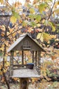 Wooden birds feeder