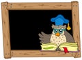 Wooden blackboard with owl teacher