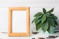 Wooden blank picture frame and green flowers on white background Royalty Free Stock Photo