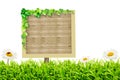 Wooden blank sign and green grass with daisies Royalty Free Stock Photo