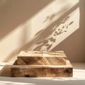 Wooden Block Display Platform with Neutral Tone Wall and Plant Shadows in Sunlight Royalty Free Stock Photo