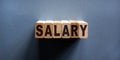 Wooden block form the word `salary` on beautiful blue background