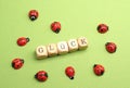 Wooden blocks with German word luck on a green background Royalty Free Stock Photo