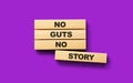 Wooden blocks No guts no story word 3d illustration