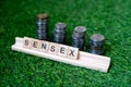 Wooden blocks with sensex written on them with a growing pile of coins behind them set on grass