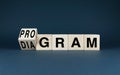 Wooden blocks spelling out Program - Diagram