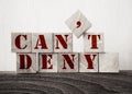 Wooden Blocks with the text: Can`t deny. Discussion argument debates opinion concept