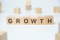 Wooden blocks on a white background with the inscription - growth