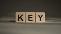 A wooden blocks with the word KEY written on it on a gray background Royalty Free Stock Photo