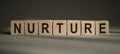 A wooden blocks with the word NURTURE written on it on a gray background