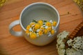 Cup with chamomile flowers inside. Royalty Free Stock Photo