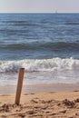 Wooden board at the beach