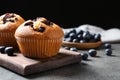 Wooden board with blueberry muffins on grey table against black background. Space for text Royalty Free Stock Photo