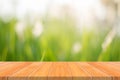 Wooden board empty table in front of blurred background. Perspective brown wood over blur trees in forest - can be used mock up f Royalty Free Stock Photo