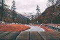 Wooden board empty table in front of blurred background. Perspective brown wood over road in pine trees forest for mock up Royalty Free Stock Photo