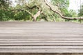 Wooden board empty table in front of blurred background. Perspective grey wood over blur trees in forest - can be used for Royalty Free Stock Photo