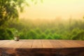 Wooden board empty table blur trees in forest background. Royalty Free Stock Photo