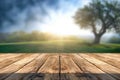 Wooden board empty table in front of blurred background. Perspective brown wood over blur trees in forest can be used mock up for Royalty Free Stock Photo