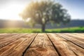 Wooden board empty table in front of blurred background. Perspective brown wood over blur trees in forest can be used mock up for Royalty Free Stock Photo