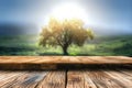 Wooden board empty table in front of blurred background. Perspective brown wood over blur trees in forest can be used mock up for Royalty Free Stock Photo