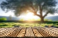 Wooden board empty table in front of blurred background. Perspective brown wood over blur trees in forest can be used mock up for Royalty Free Stock Photo