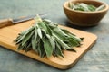 Wooden board with fresh green sage on light blue table, closeup