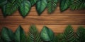 Wooden board and leaf copy space background Royalty Free Stock Photo